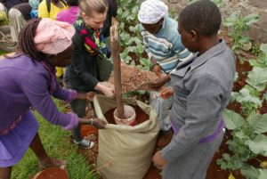Growing sack gardens in Kenya