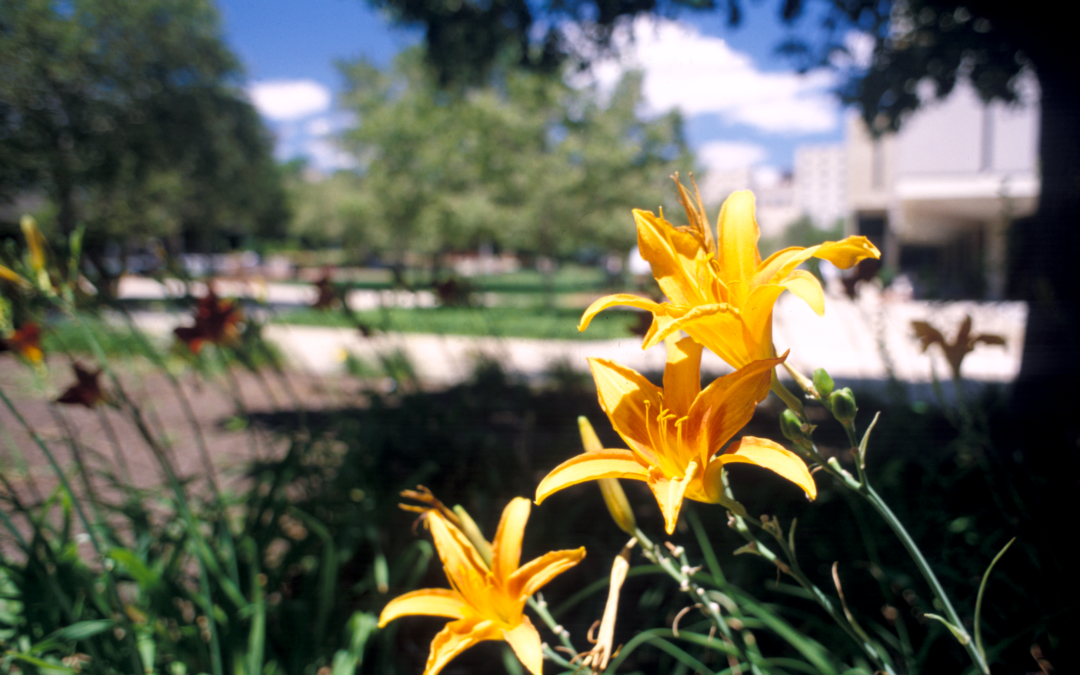 d4462f5f-4a80-773f-5bcd-93d2d5c57984